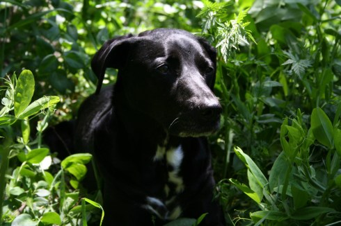 An El Portal Afternoon